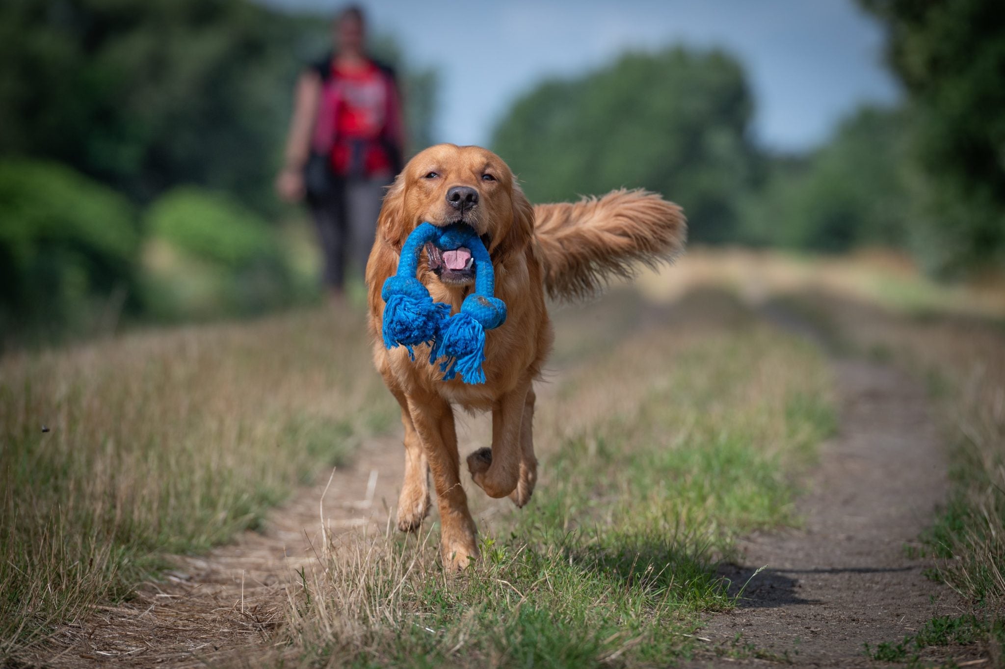 JV PLAYSCENT Touw Bacon-350g 48cm