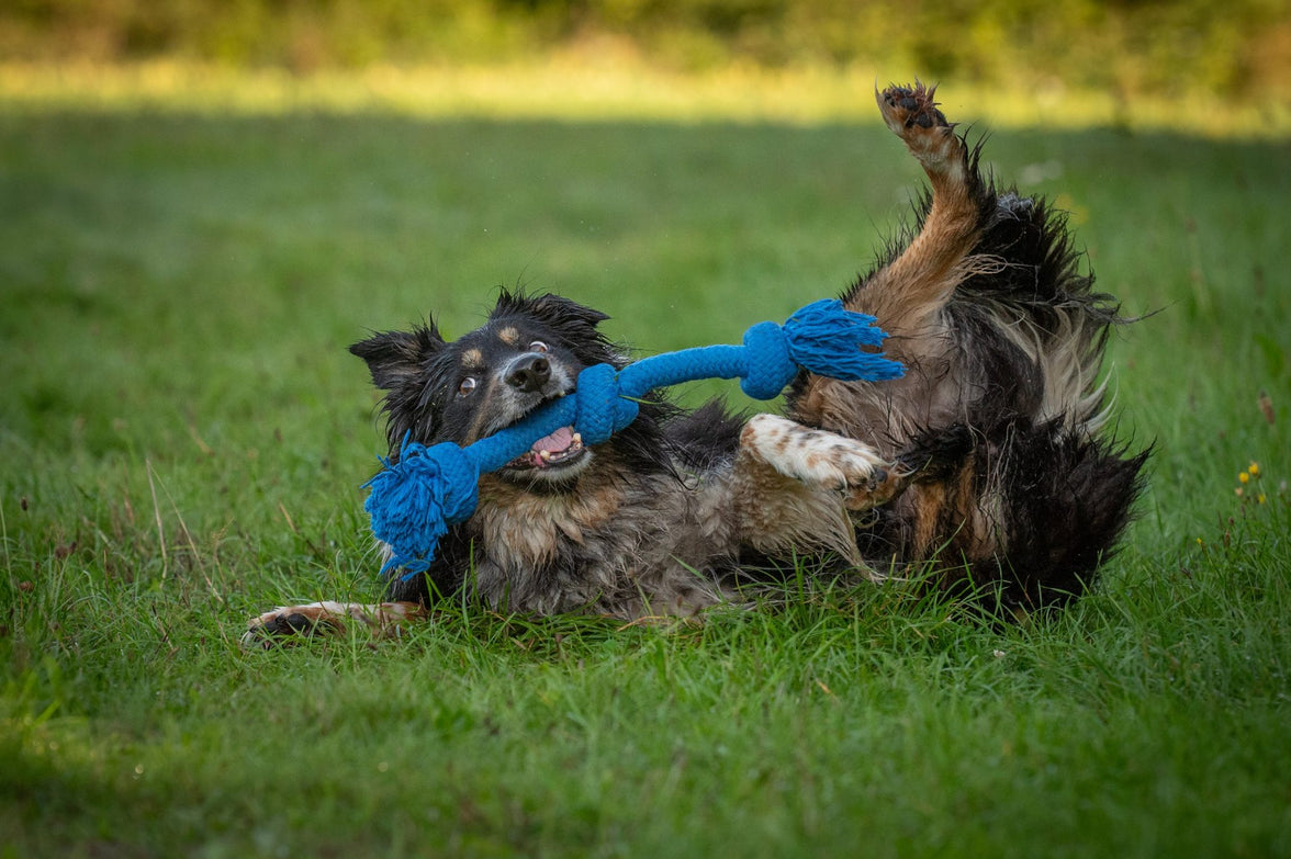 JV PLAYSCENT Touw Bacon-350g 48cm