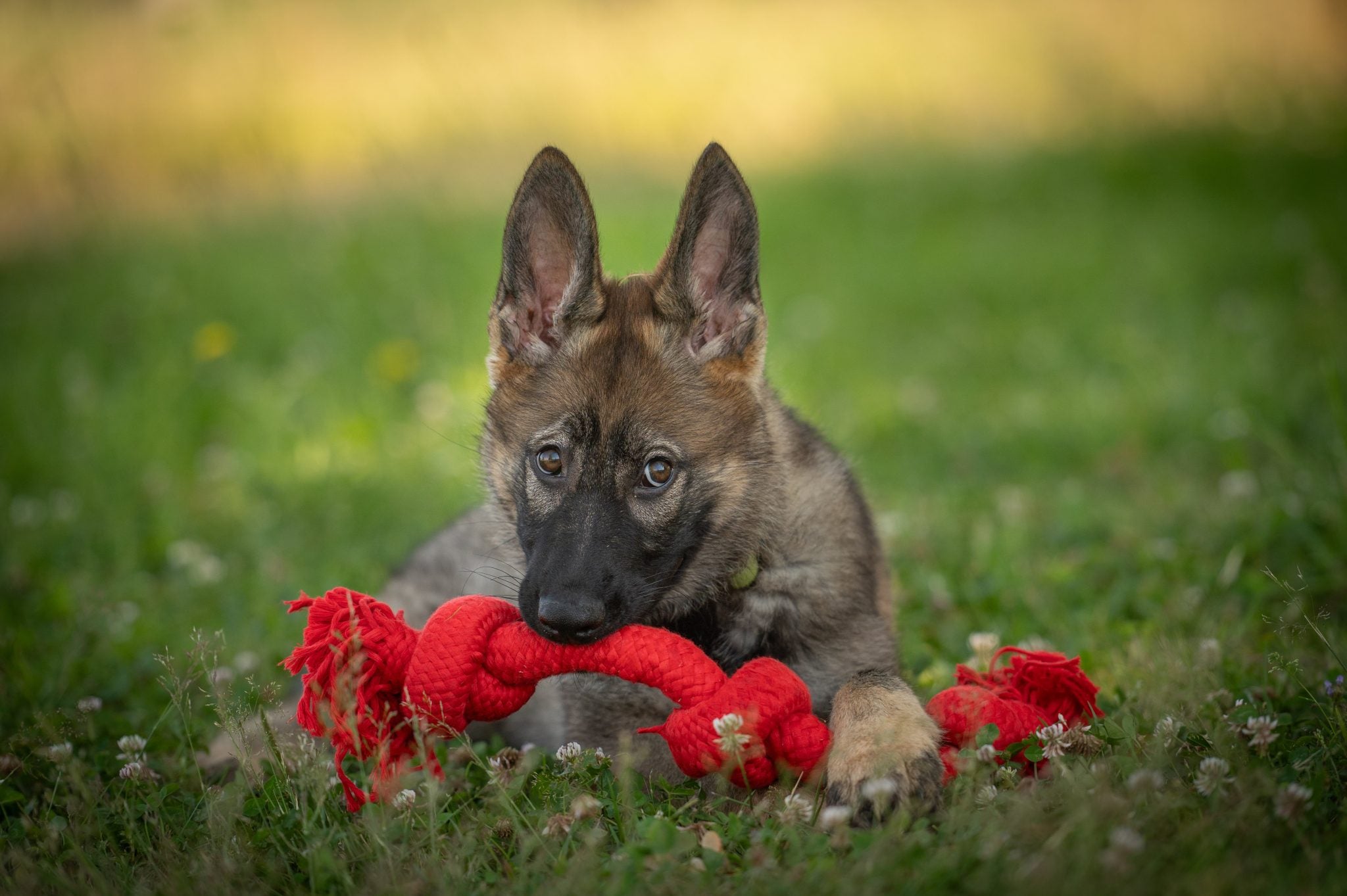 JV PLAYSCENT Touw Runds-350g 48cm