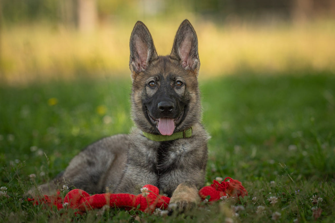 JV PLAYSCENT Touw Runds-350g 48cm