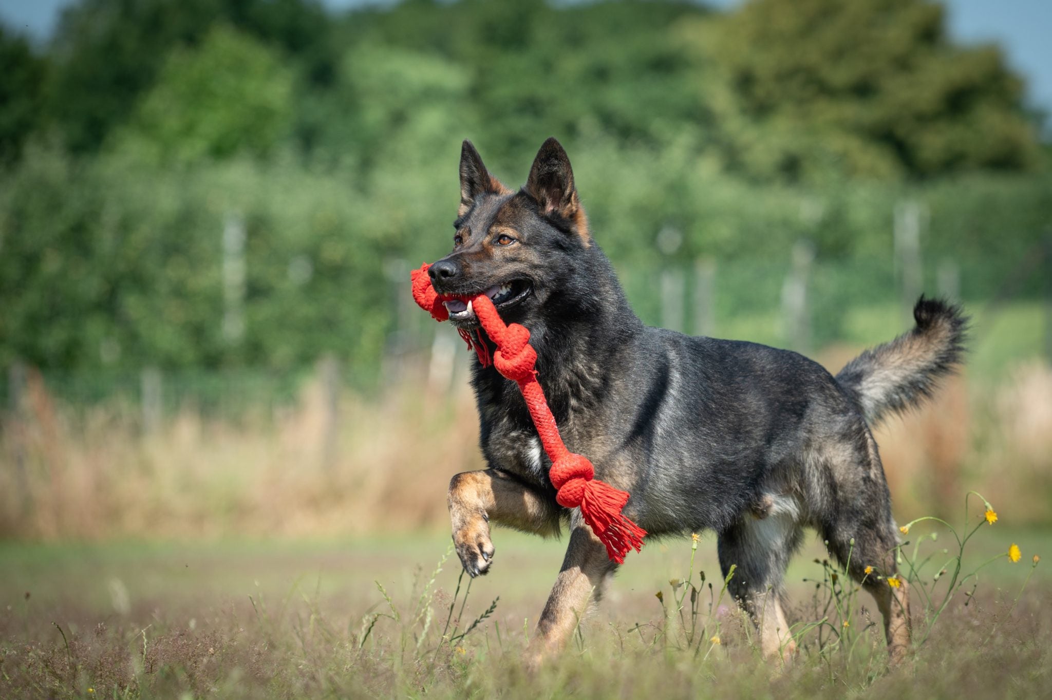 JV PLAYSCENT Touw Runds-350g 48cm