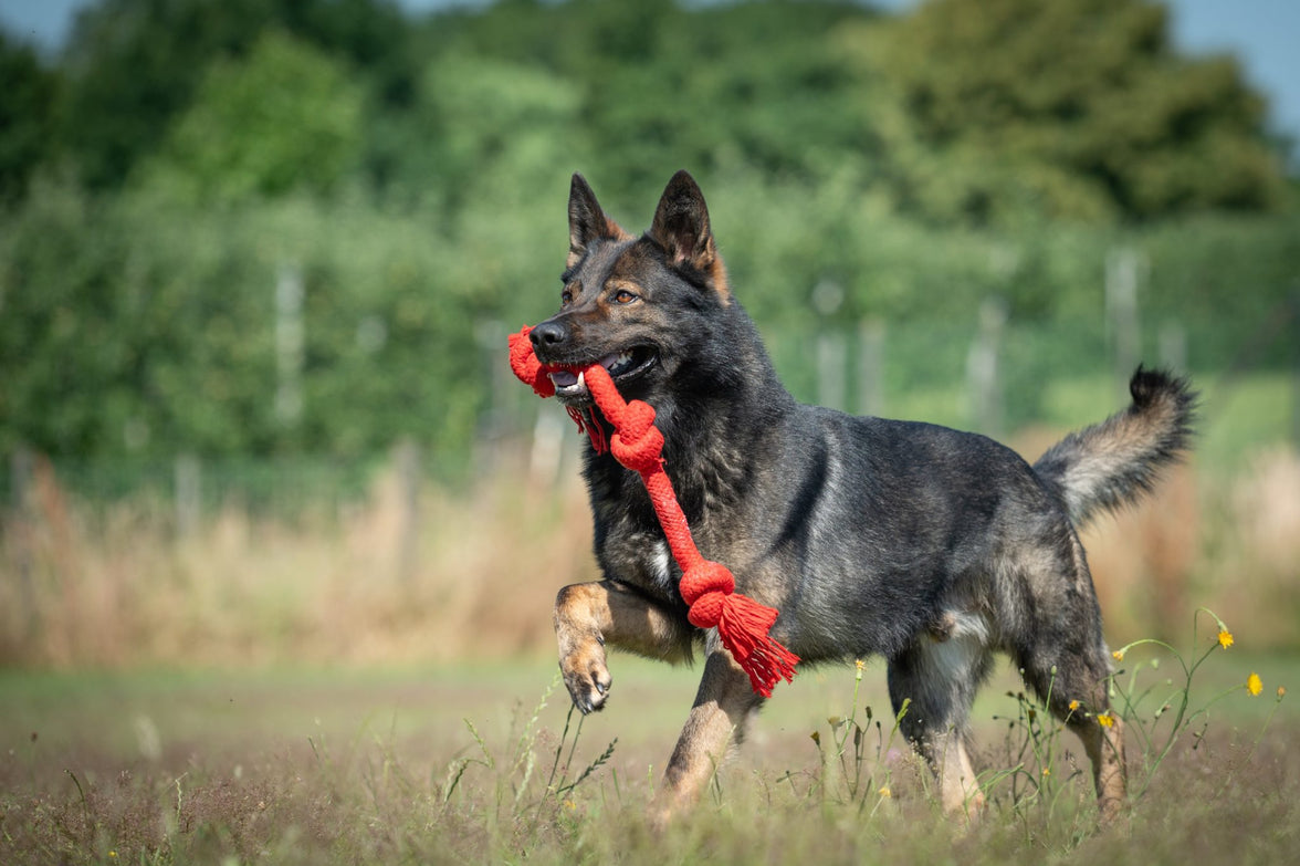 JV PLAYSCENT Touw Runds-350g 48cm