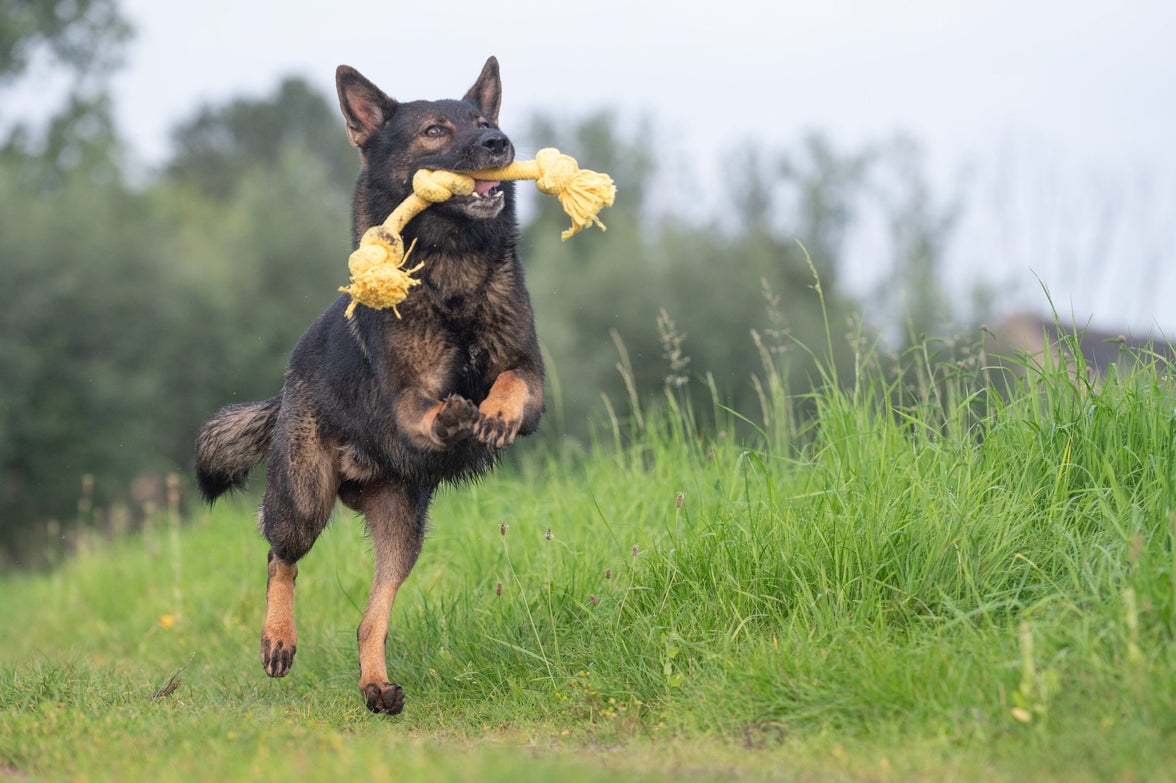 JV PLAYSCENT Touw Kip-350g 48cm