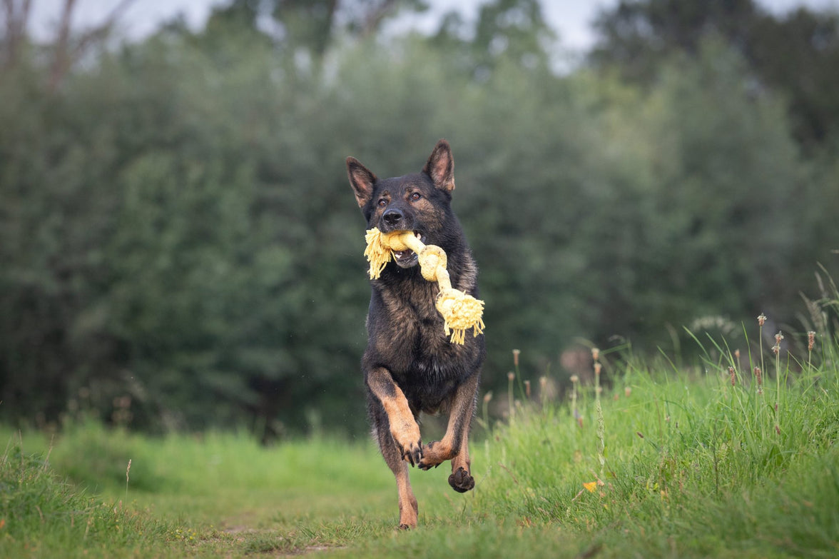 JV PLAYSCENT Touw Kip-350g 48cm