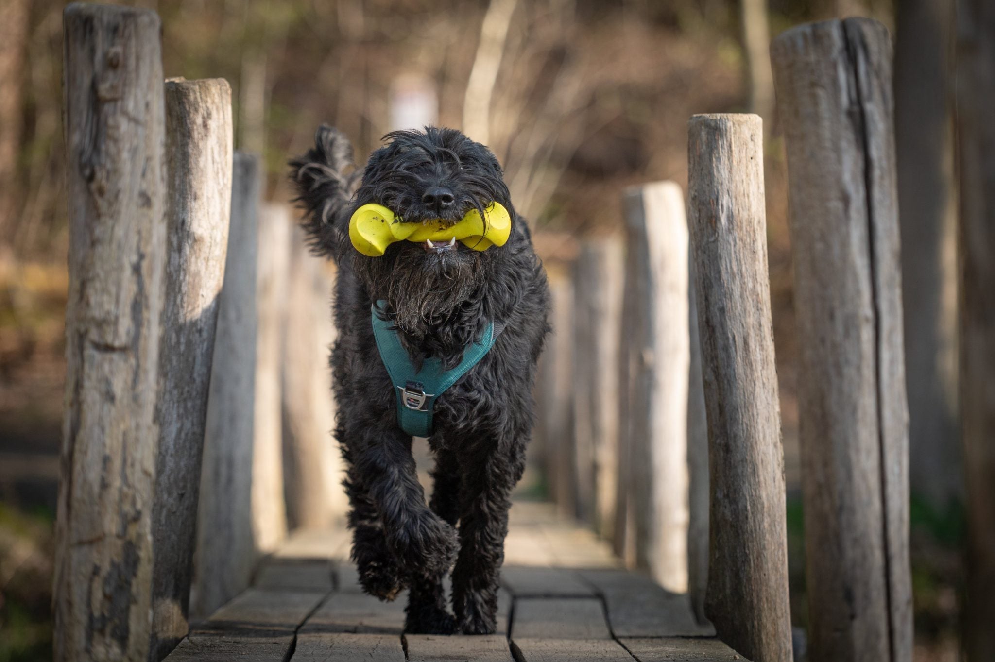 JV PLAYSCENT Gedraaid Been Kip-11cm