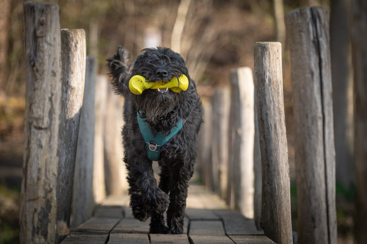 JV PLAYSCENT Gedraaid Been Kip-11cm