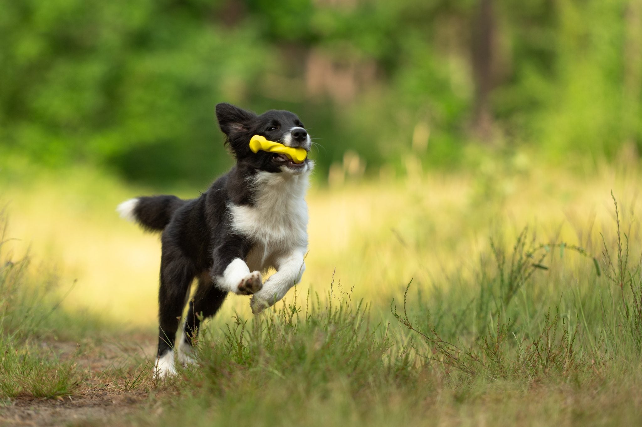 JV PLAYSCENT Gedraaid Been Kip-11cm