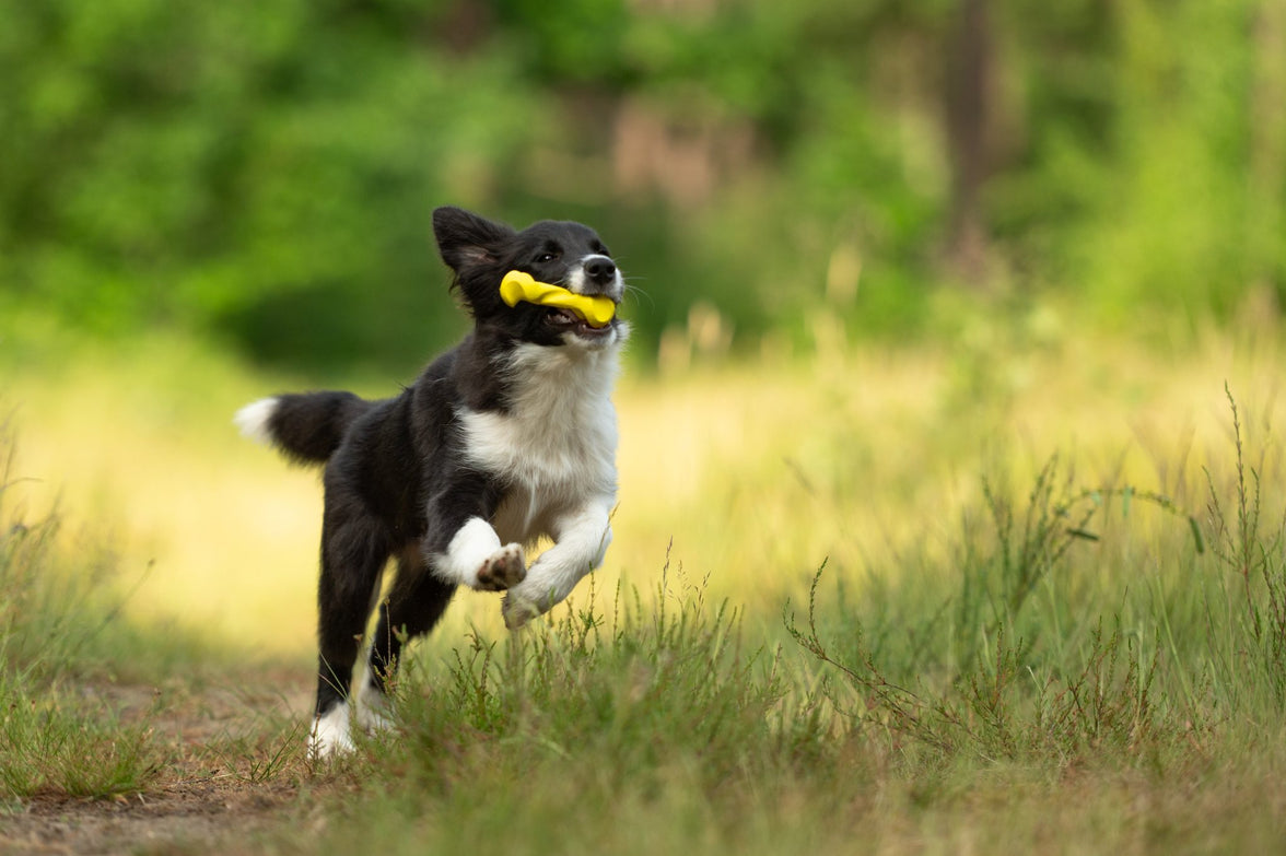 JV PLAYSCENT Gedraaid Been Kip-11cm