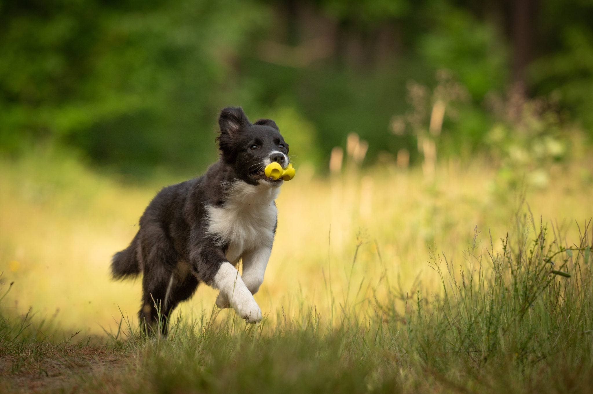 JV PLAYSCENT Gedraaid Been Kip-11cm