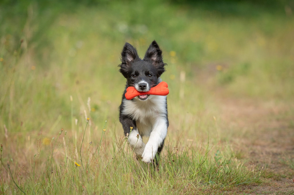 JV PLAYSCENT Been Runds-16cm