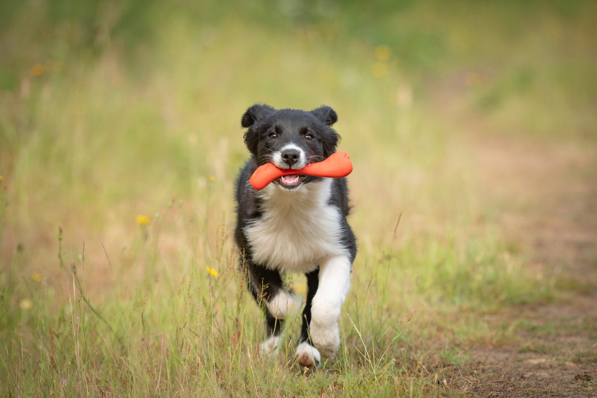 JV PLAYSCENT Been Runds-16cm