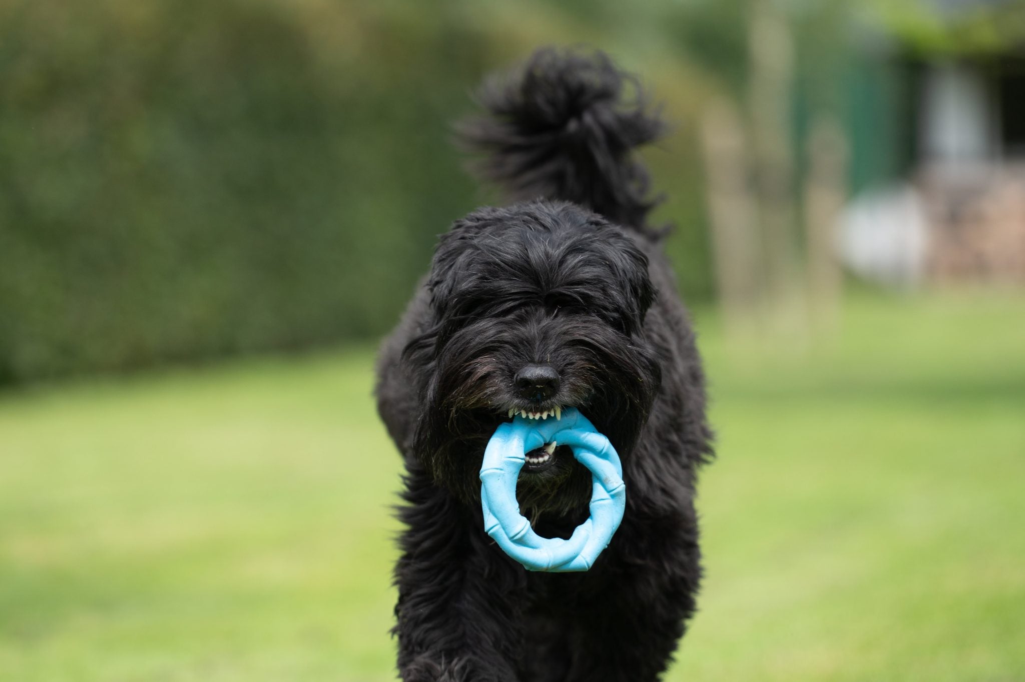 JV PLAYSCENT Ring Bacon-Ø14cm