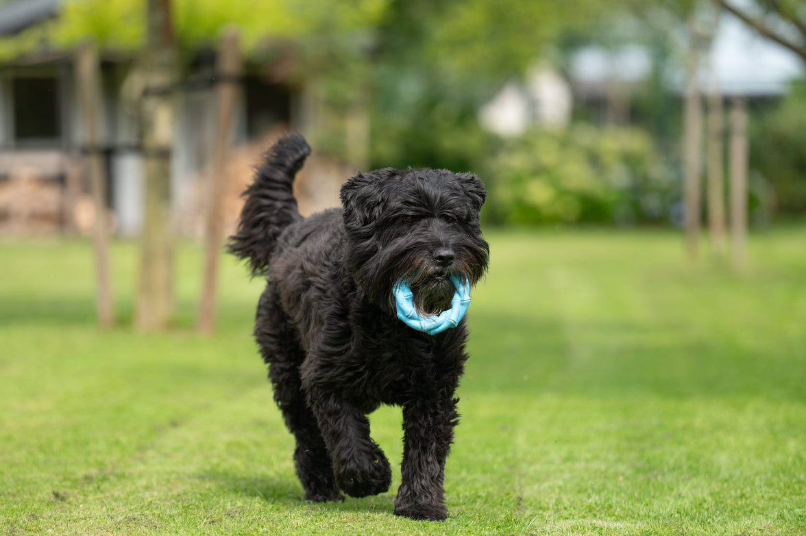 JV PLAYSCENT Ring Bacon-Ø14cm