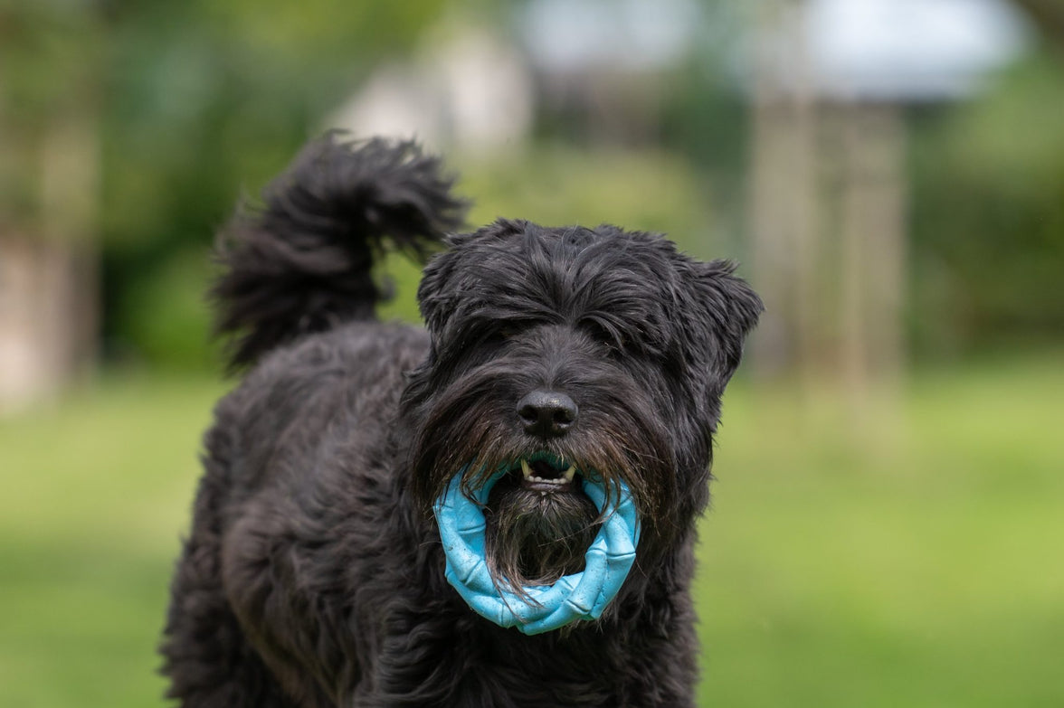 JV PLAYSCENT Ring Bacon-Ø14cm