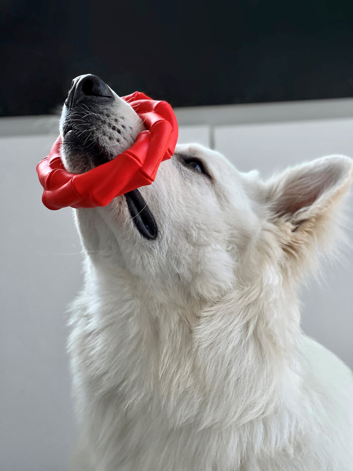 JV PLAYSCENT Ring Runds-Ø14cm