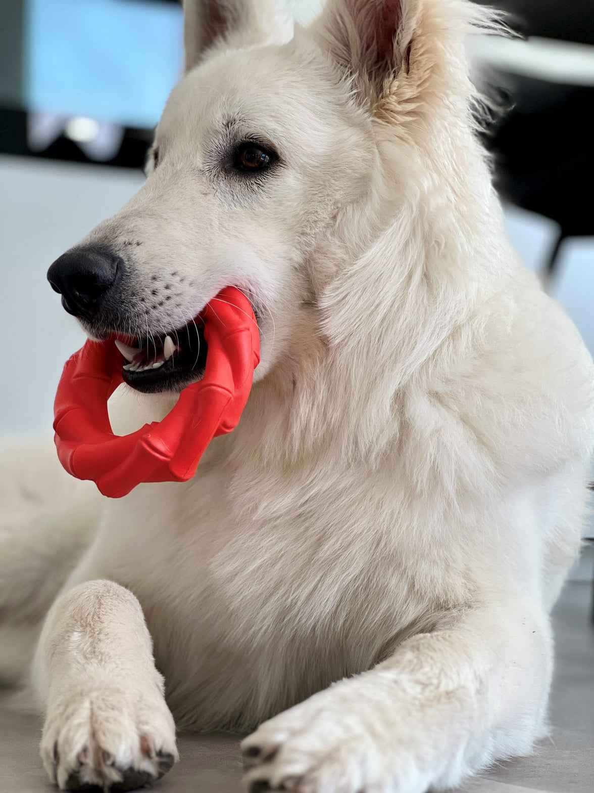 JV PLAYSCENT Ring Runds-Ø14cm