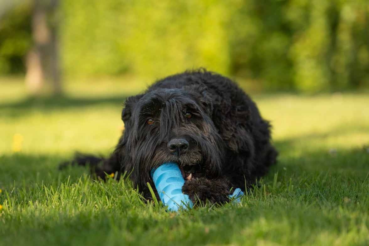 JV PLAYSCENT Dummy Bacon-24cm