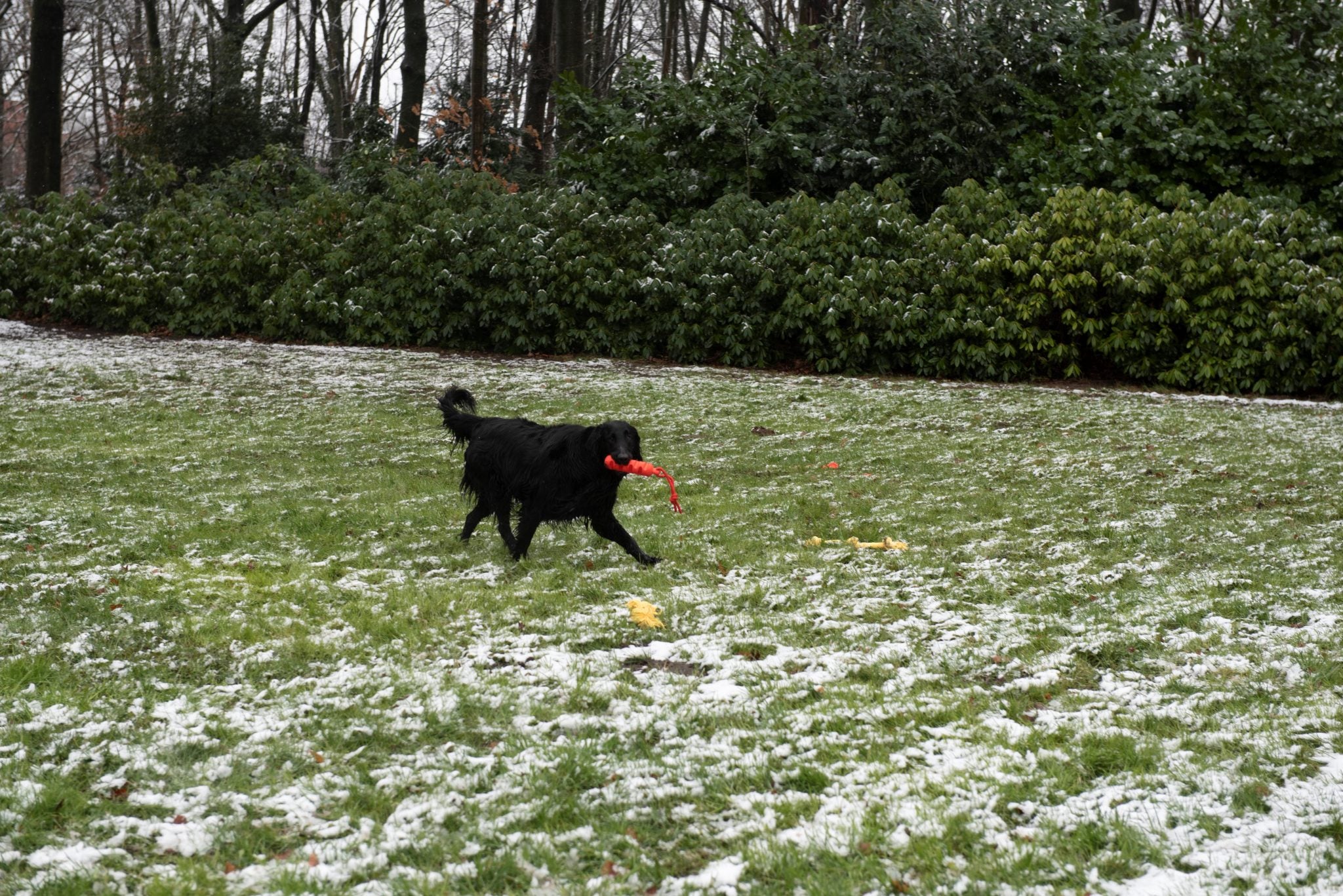 JV PLAYSCENT Dummy Runds-24cm