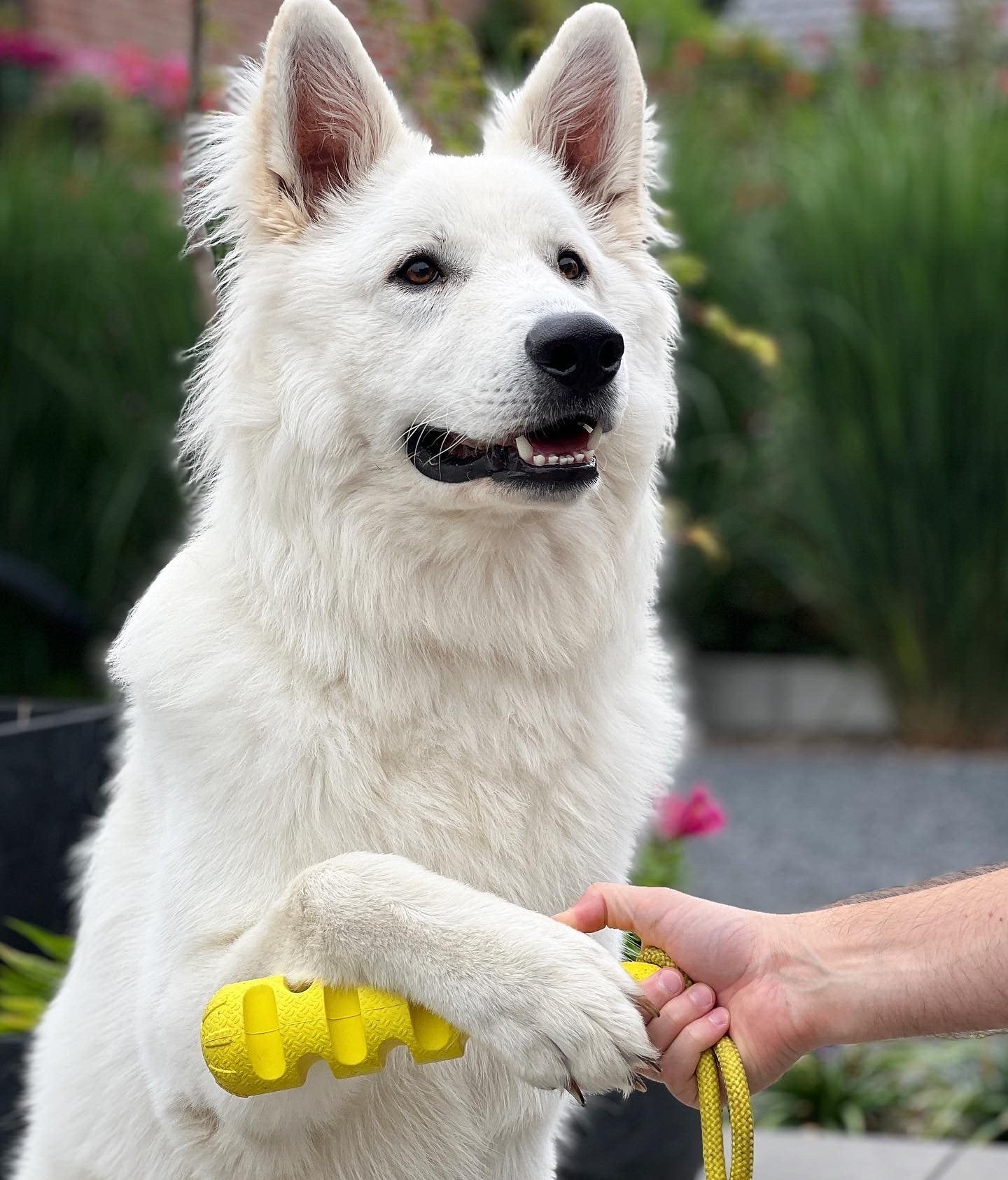 JV PLAYSCENT Dummy Kip-24cm