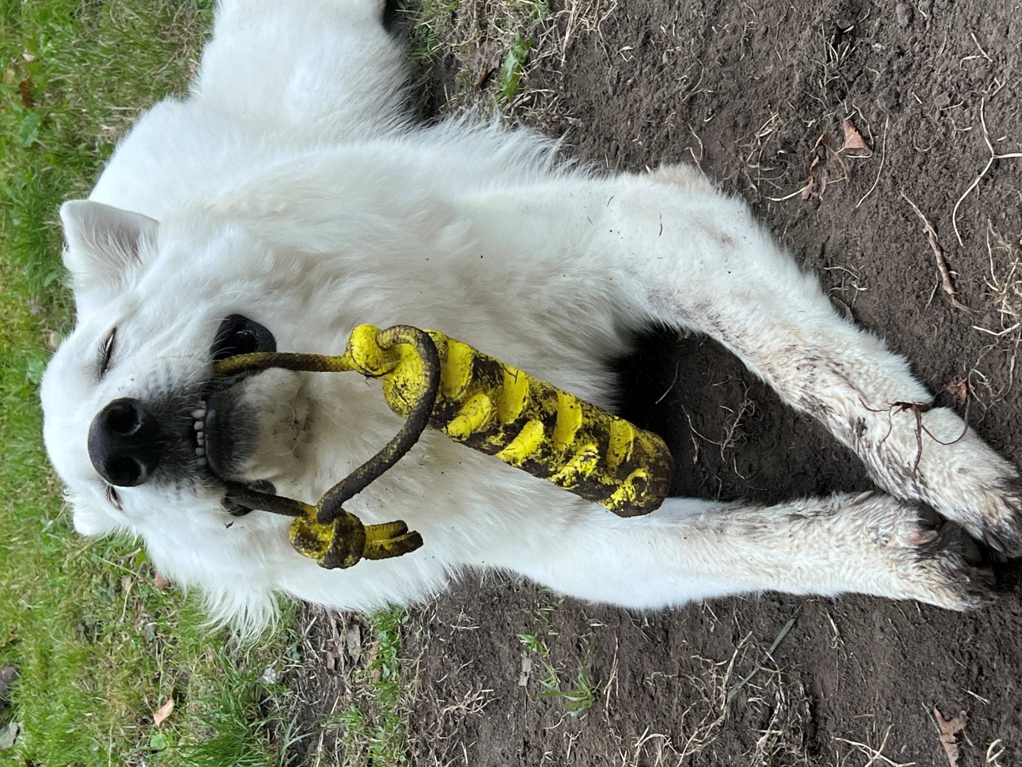 JV PLAYSCENT Dummy Kip-24cm