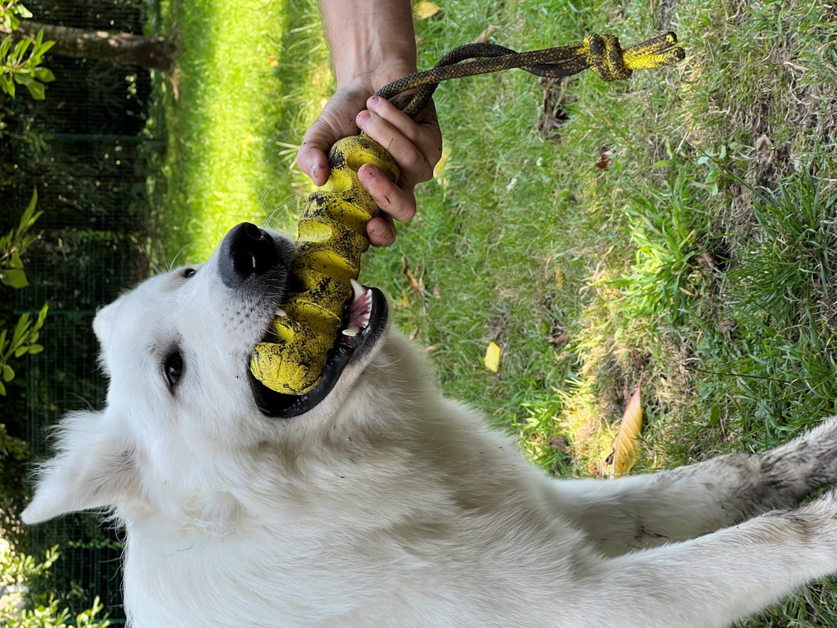 JV PLAYSCENT Dummy Kip-24cm