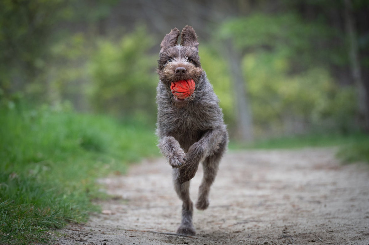 JV PLAYSCENT Bal Runds-Ø8cm