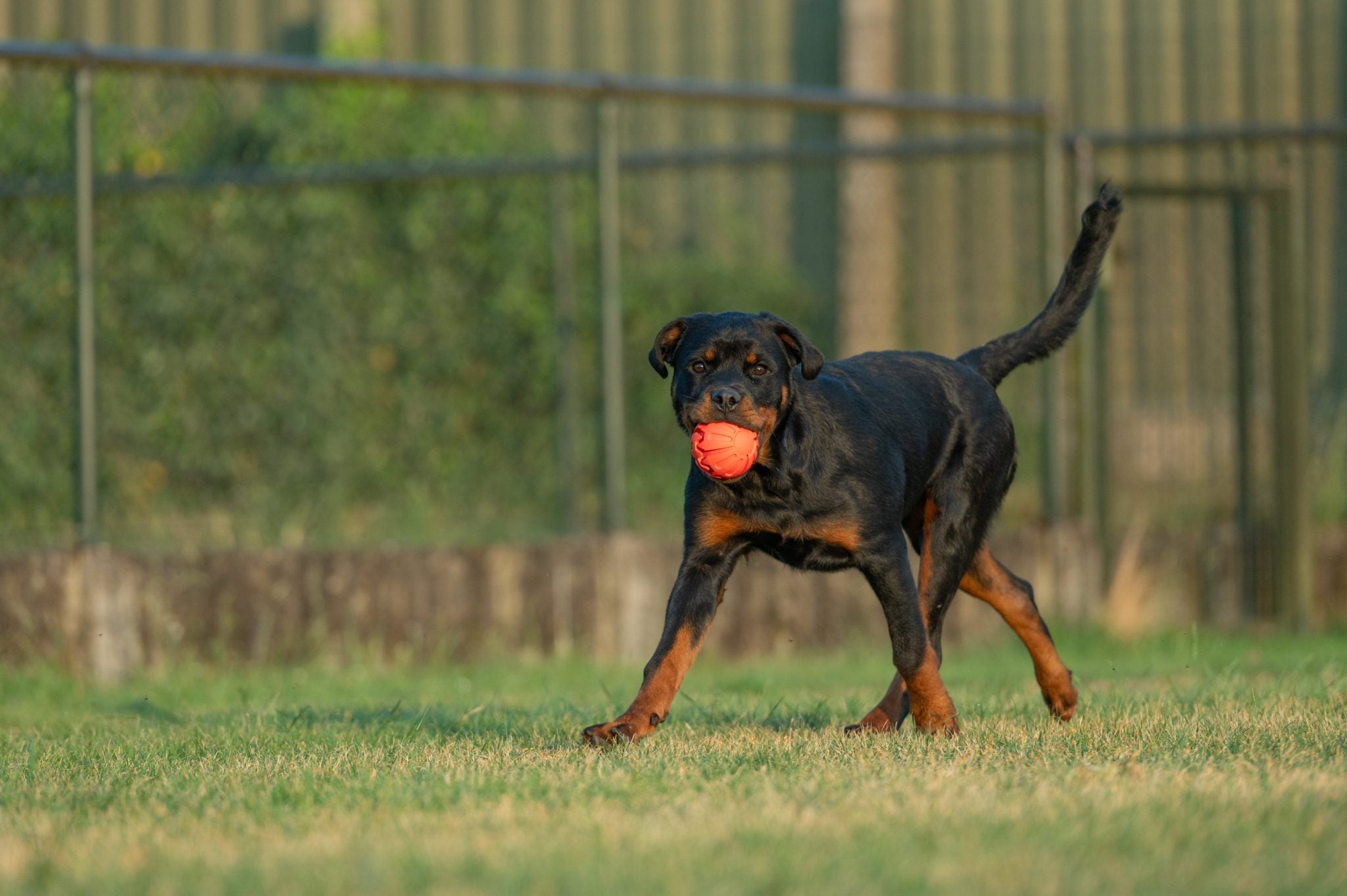 JV PLAYSCENT Bal Runds-Ø8cm