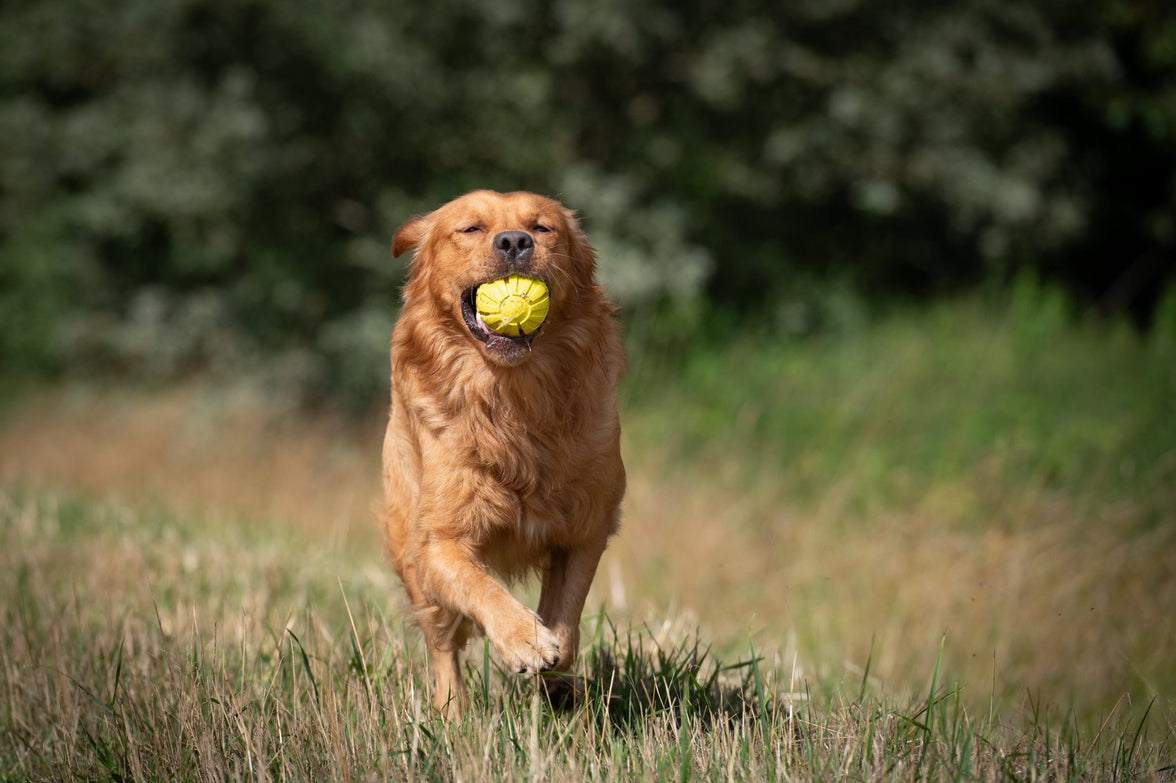 JV PLAYSCENT Bal Kip-Ø8cm