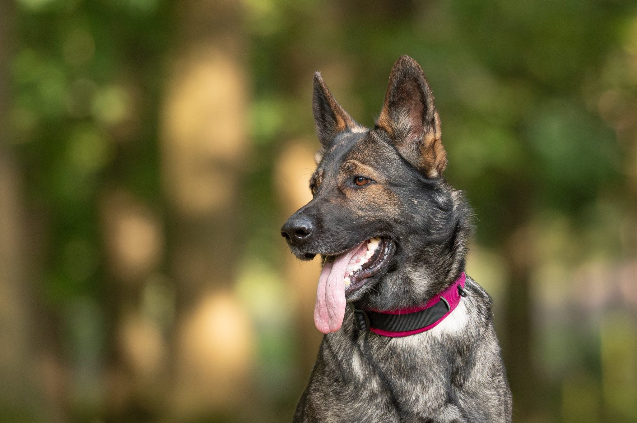 JV EXPEDITION Halsband Fuchsia