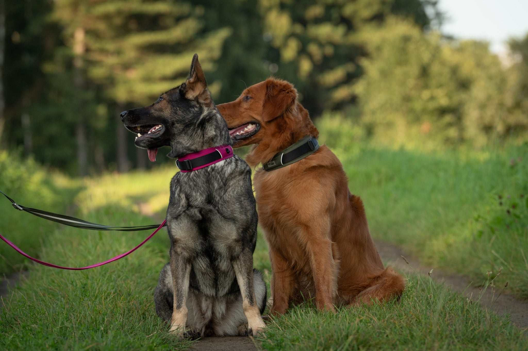 JV EXPEDITION Halsband Fuchsia