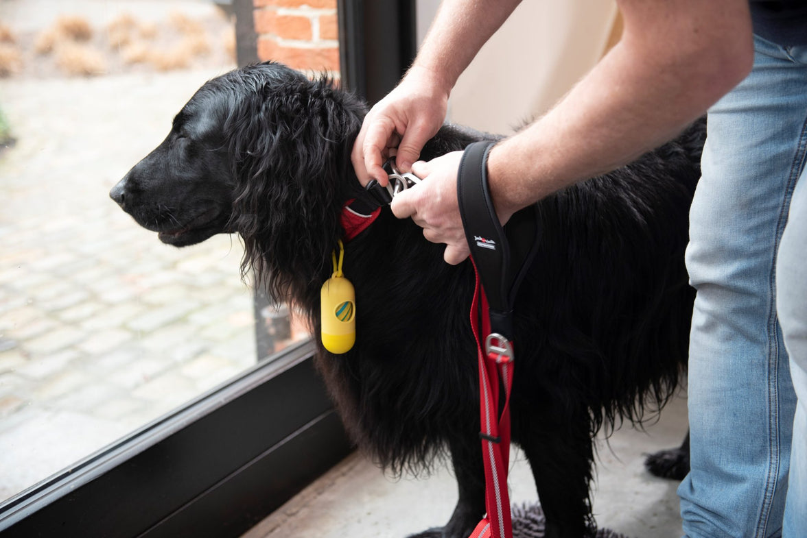 JV EXPEDITION Halsband Rood