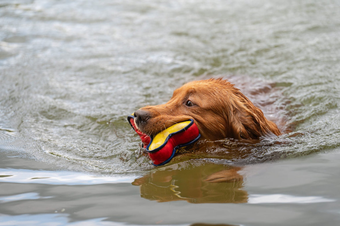 REX Drijvend Speelgoed Rood/Geel-21cm