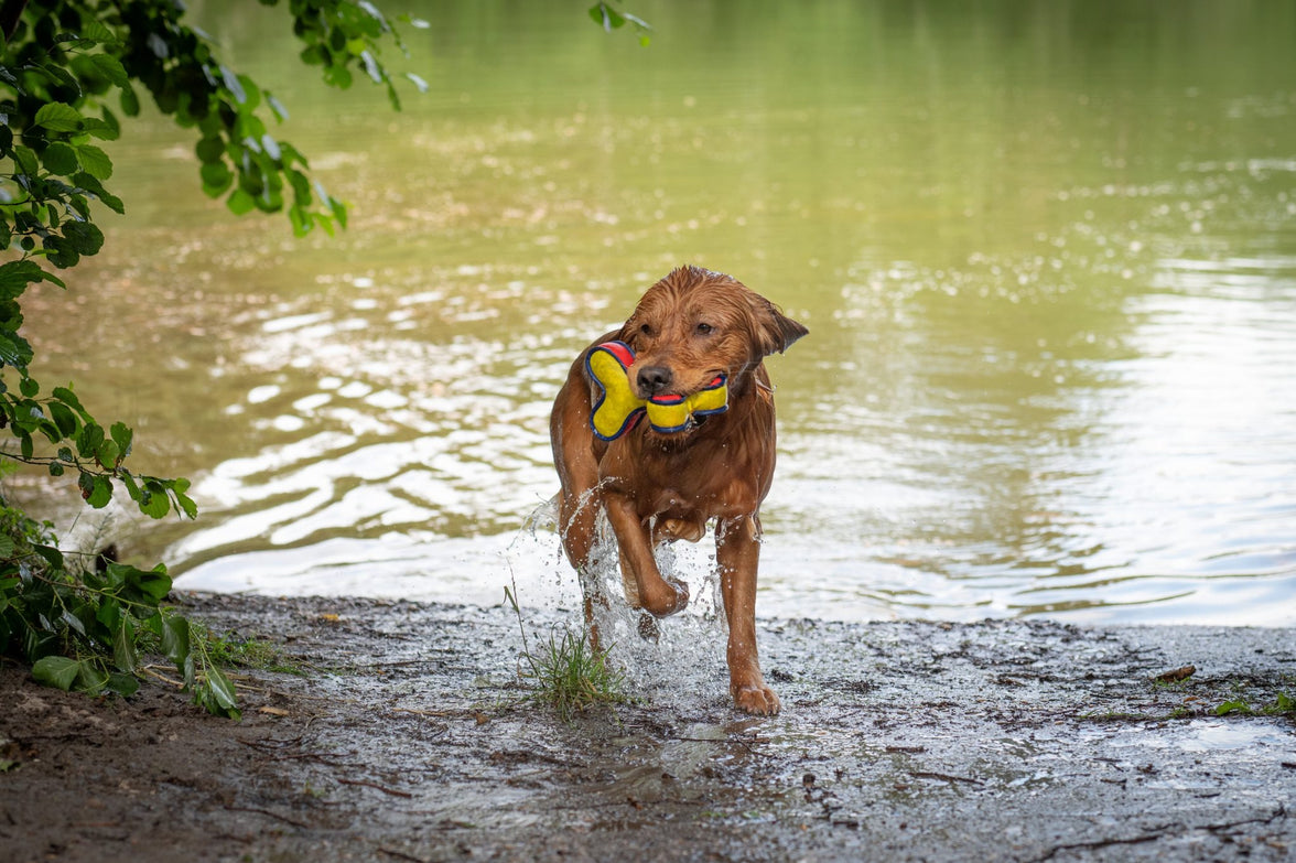 REX Drijvend Speelgoed Rood/Geel-21cm