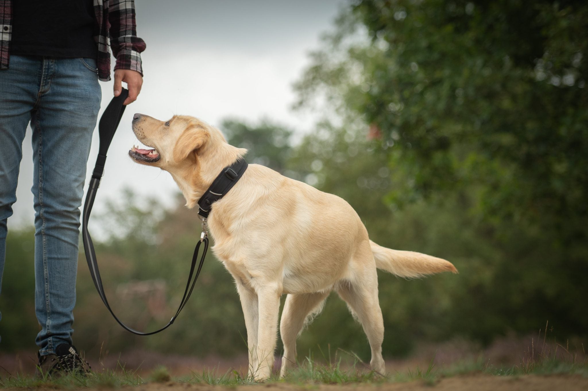 JV EXPEDITION Verstelbare Leiband Zwart