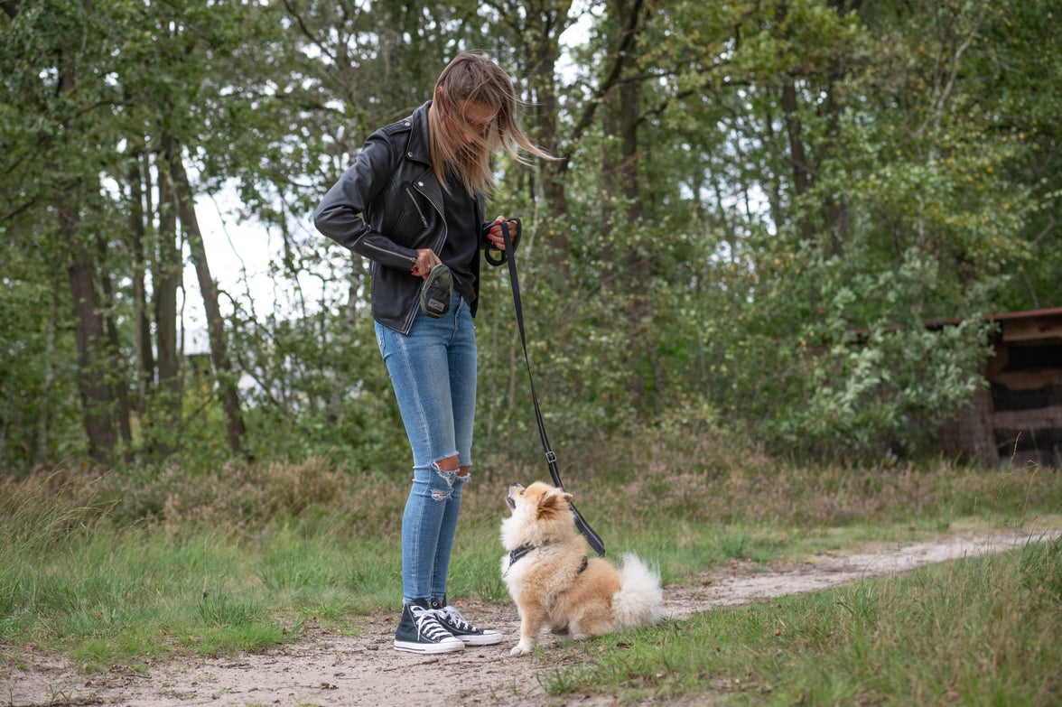 JV EXPEDITION Verstelbare Leiband Zwart