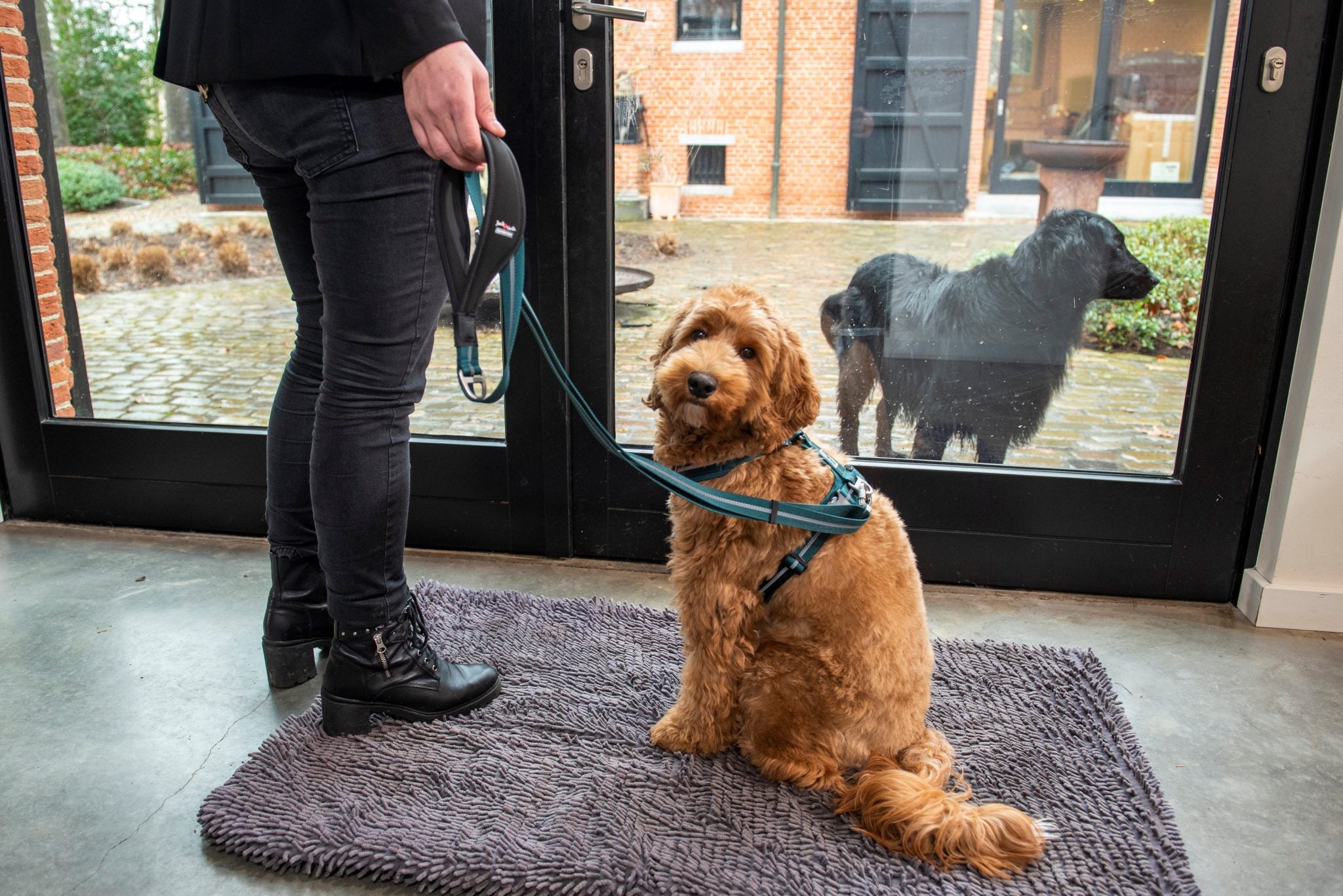 JV EXPEDITION Verstelbare Leiband Blauw