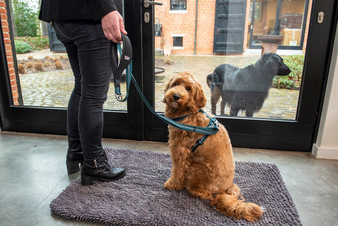 JV EXPEDITION Verstelbare Leiband Blauw