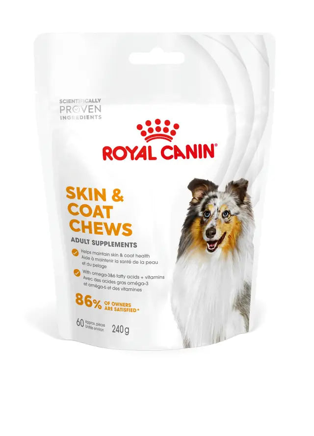 Skin & Coat Supplement 240g