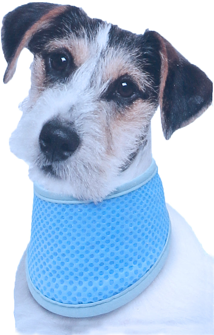 Kowloon Cool bandana PVA blauw M, 30-40 cm