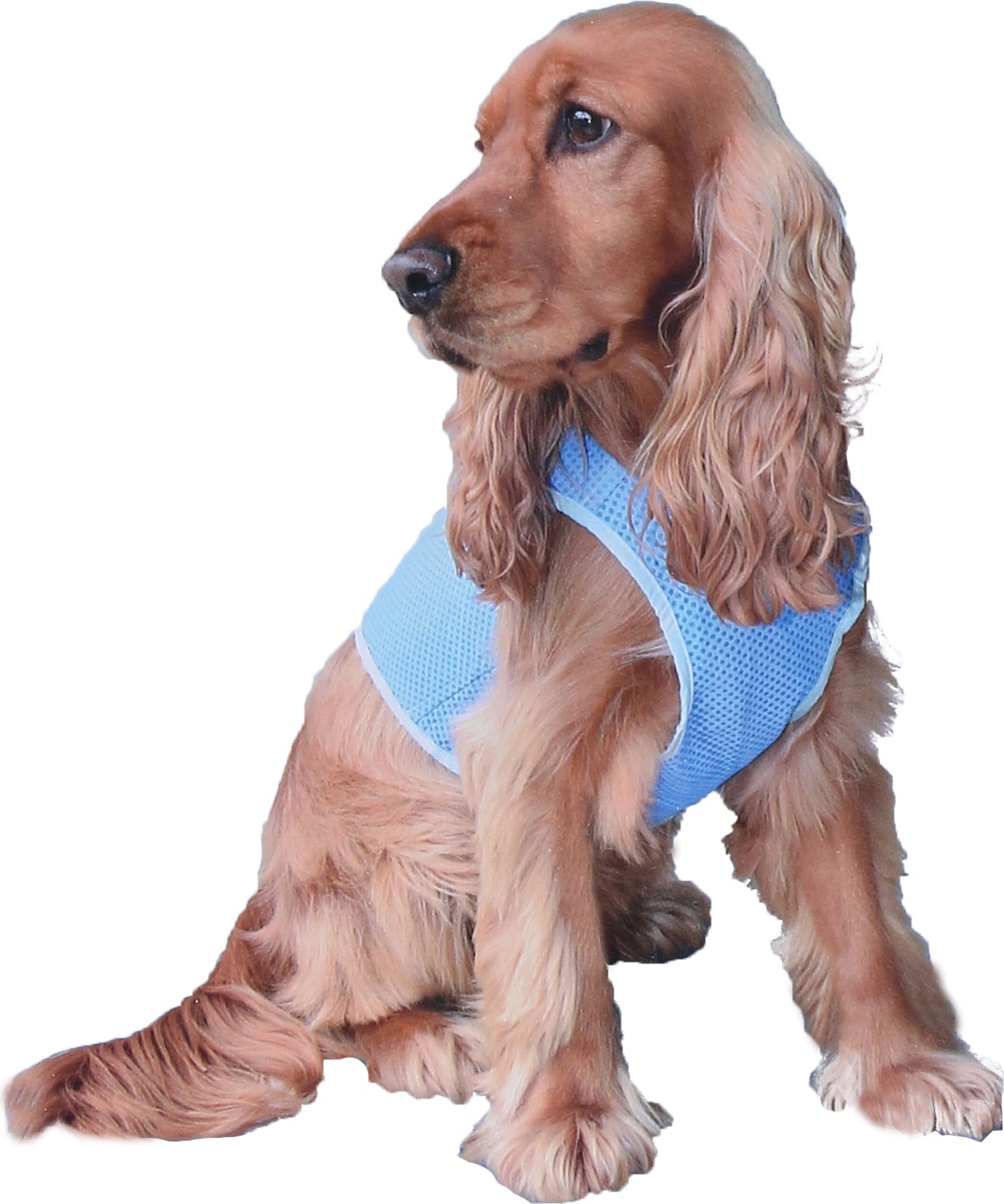 Kowloon Koelvest PVA blauw XS, Ø 32 cm