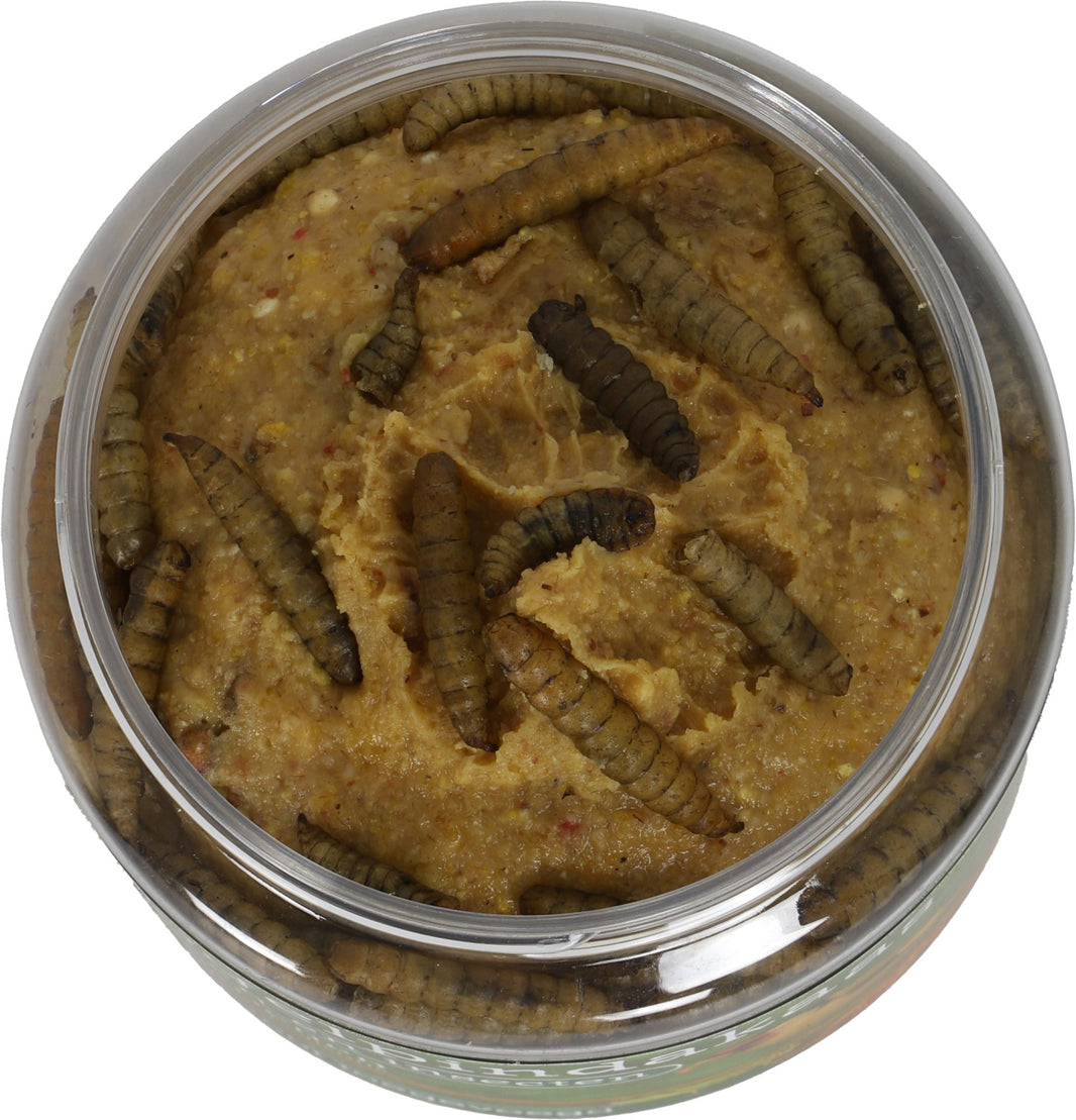 Boon pindakaas vogel larven+insecten 350 g