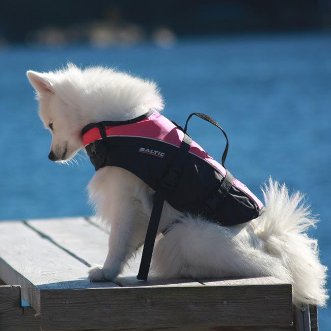 Baltic hondenzwemvest Mascot roze/zwart