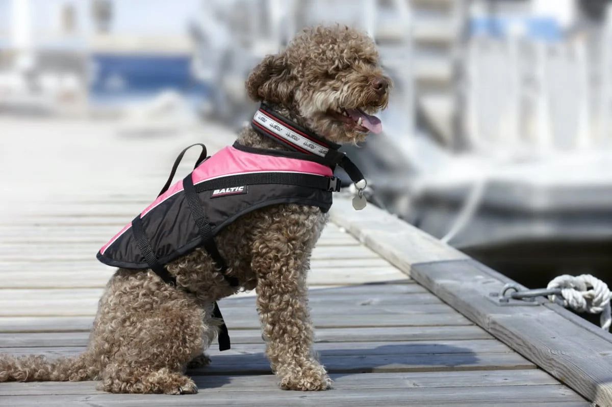 Baltic hondenzwemvest Mascot roze/zwart