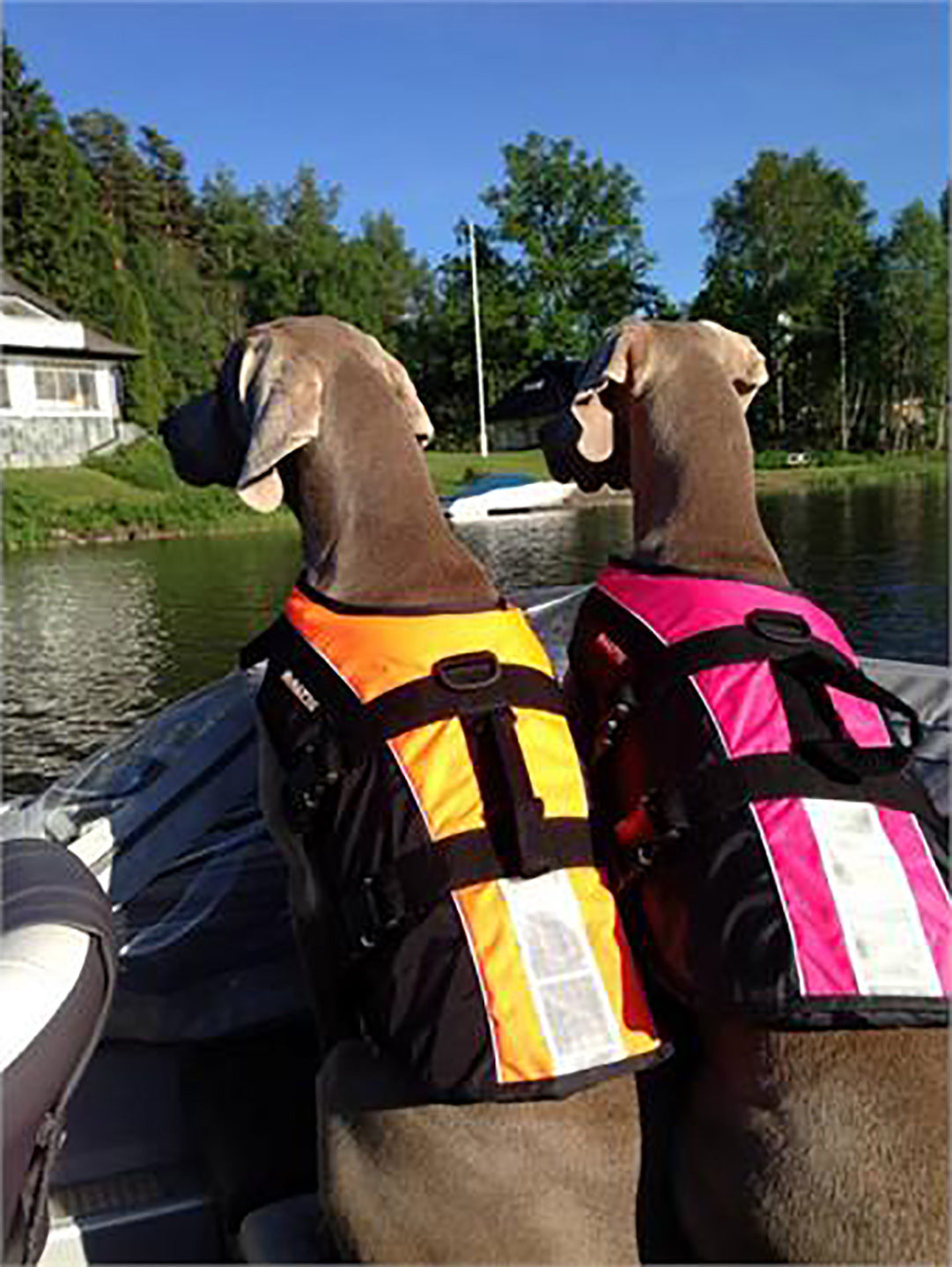 Baltic hondenzwemvest Mascot roze/zwart