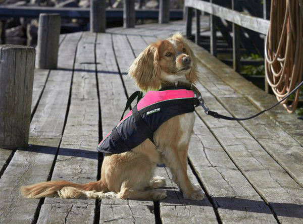 Baltic hondenzwemvest Mascot roze/zwart