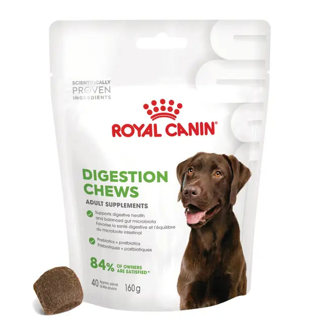 Digestion Chews Adult Dog Supplements 160g