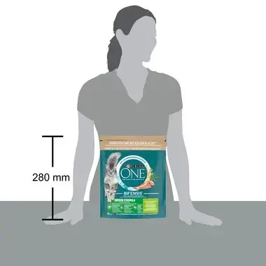 ONE® Indoor Formula Rijk aan Kalkoen 1,5kg