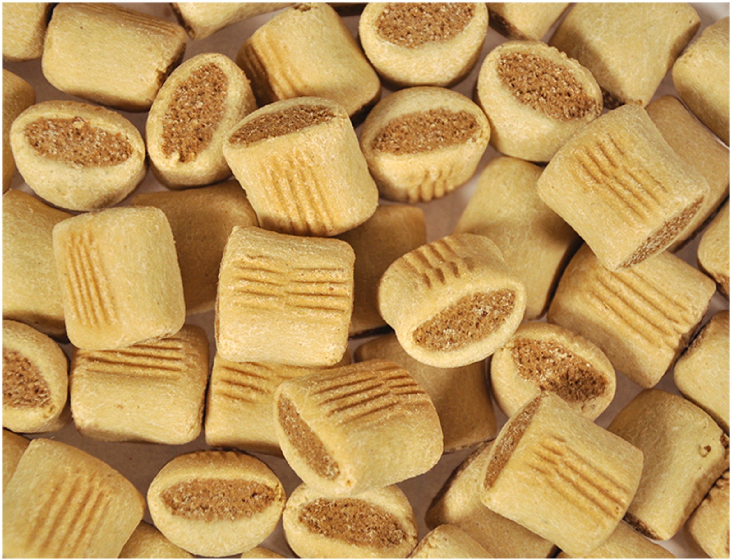 Biscuits Snack Dog Duo Maxi 500g 