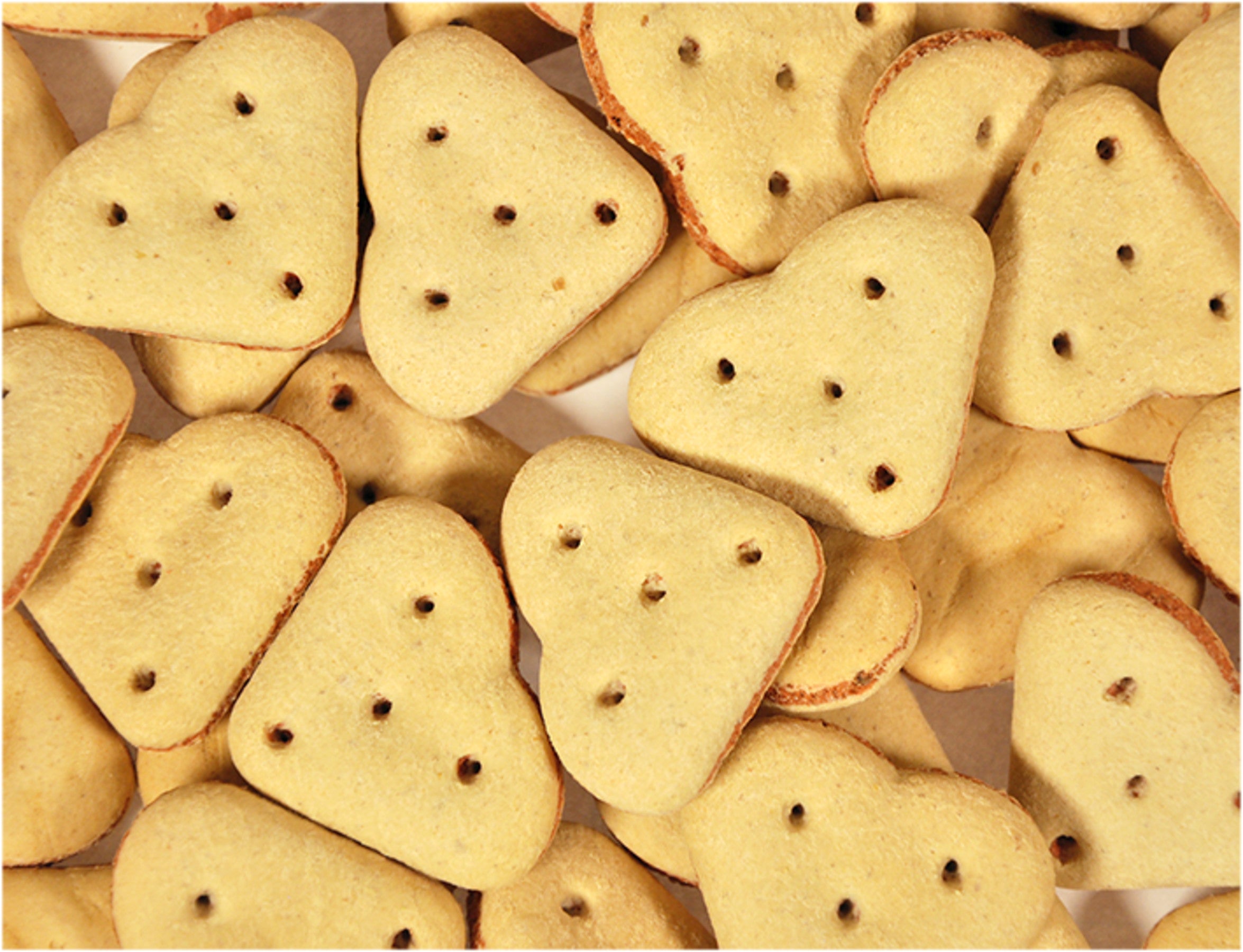 Snack dog Biscuits Duo Hearts 500g