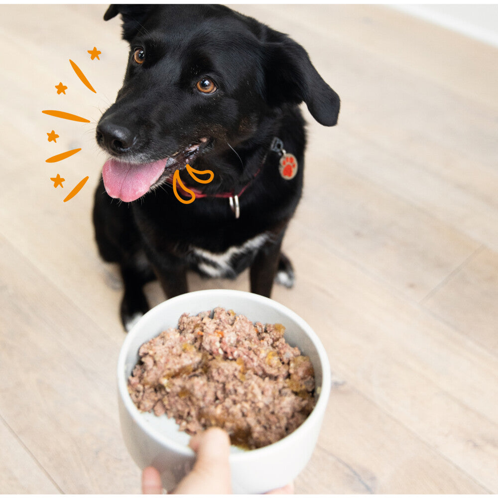 Multipack  Kuipje - Kip & Lam 4x300g